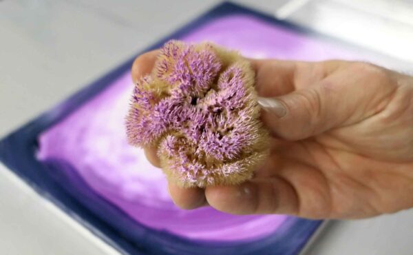 Painting With A Sponge Urartstudio