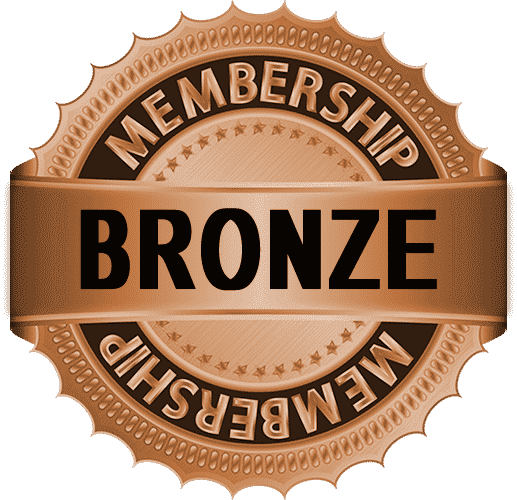 Exclusive bronze membership art video tutorials by Peter Dranitsin