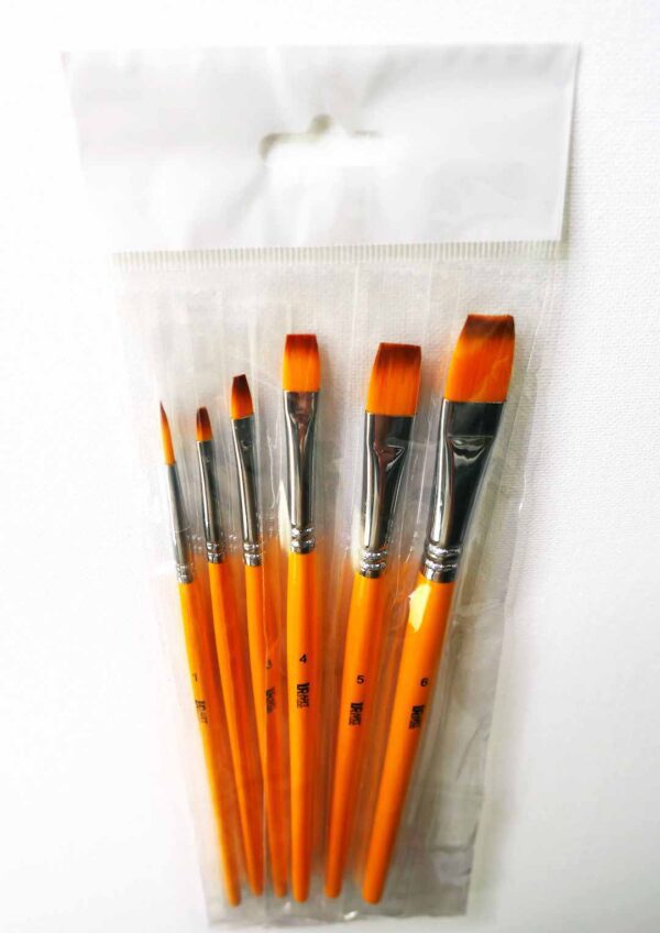 6 brushes short handle