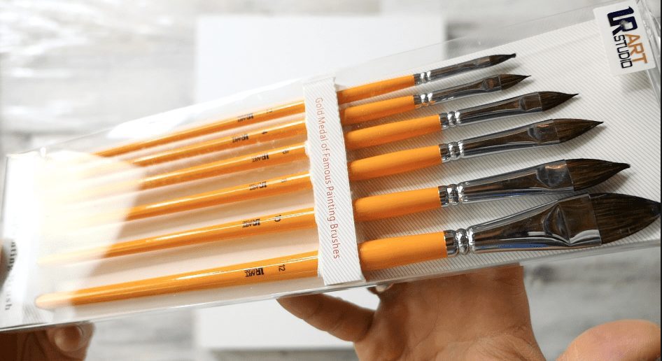 6 Cat Tongue Paint Brushes at UrArtStudio1