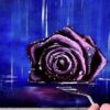 Rose in the Rain
