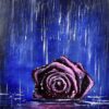 Rose in the Rain