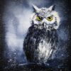 black and white owl yellow eyes