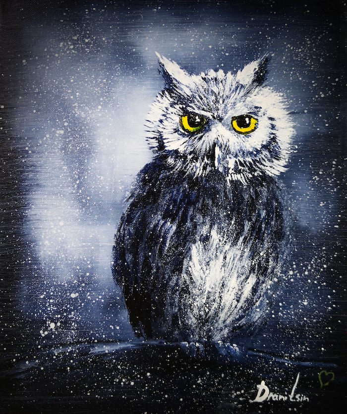 Nighttime Owl VIDEO TUTORIAL Canvas Painting Kit