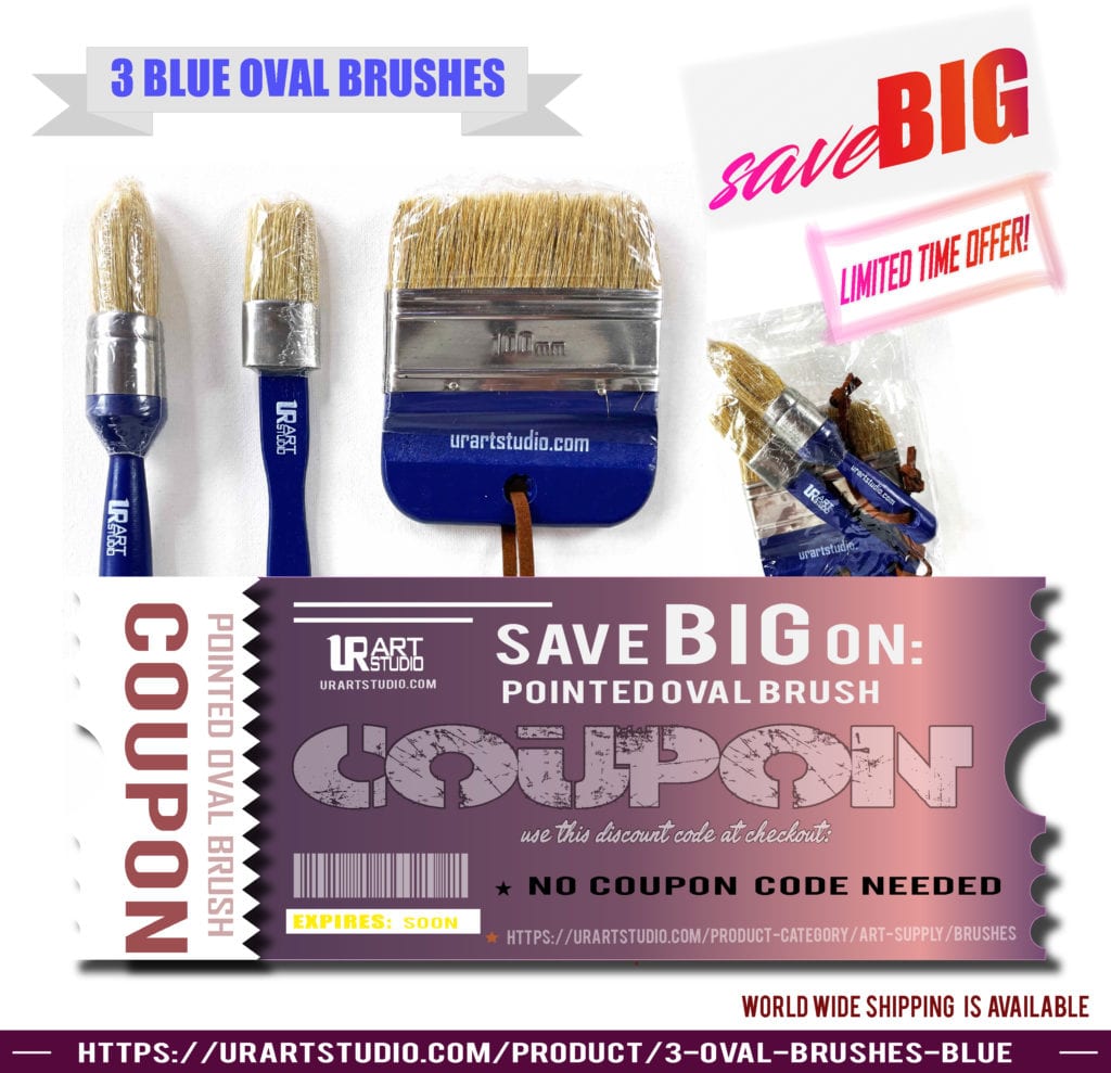 3 blue oval brushes 19.99 discount coupon copy