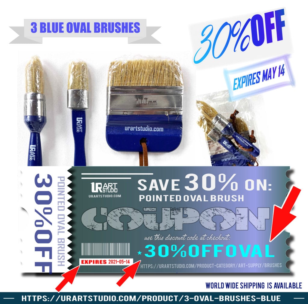 30% OFF 3 BLUE OVAL BRUSHES