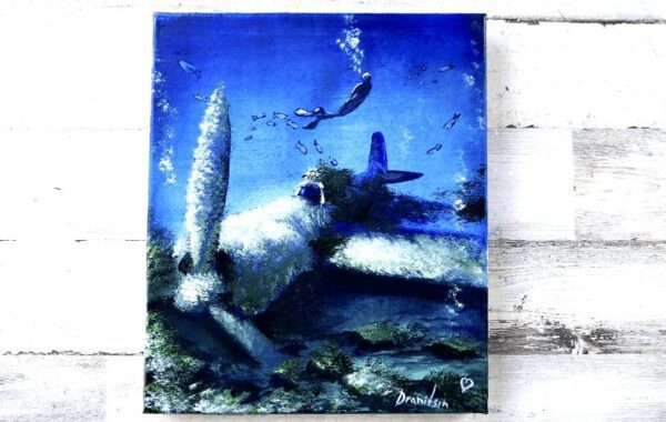 Plane Underwater Acrylic Painting Techniques by Dranitsin Peter