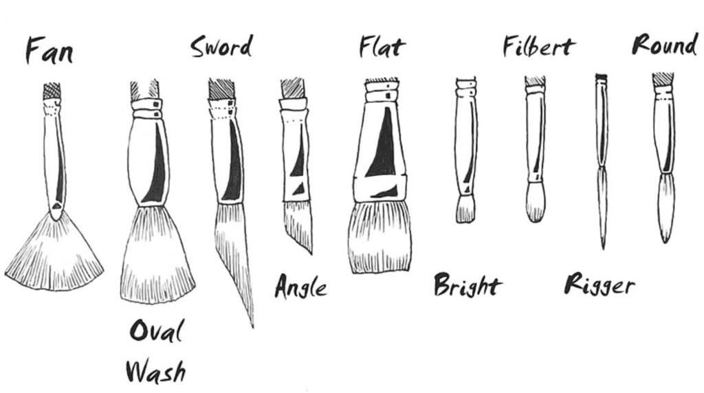 PAINT BRUSH ANATOMY DESCRIPTION 01