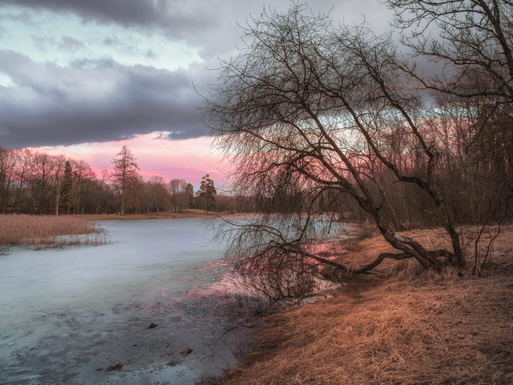 Picturesque autumn landscape with a pond. Evening spring sunset landscape with tree and ice on the lake.