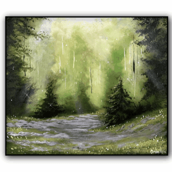 DEEP FOREST PATH IN SUNSHINE