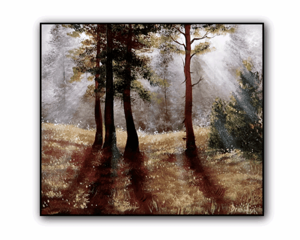 PINE TREES IN SUNLIGHT - Image 3