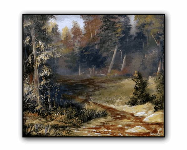 PEACEFUL STREAM IN SUNLIGHT