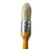 pointed oval brush orange