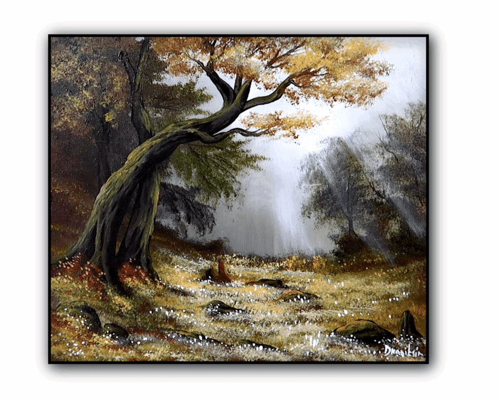 sunlight forest edge