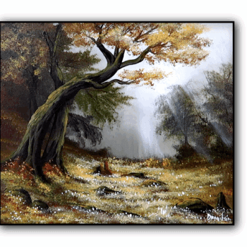 sunlight forest edge