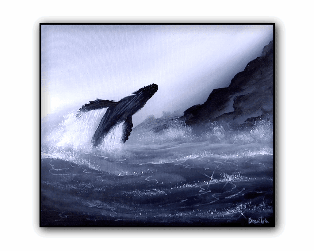 whale jumping out of water black and white 1