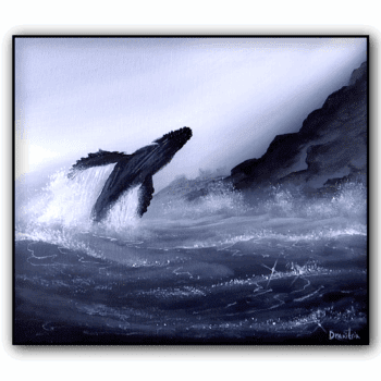 whale jumping out of water black and white 1