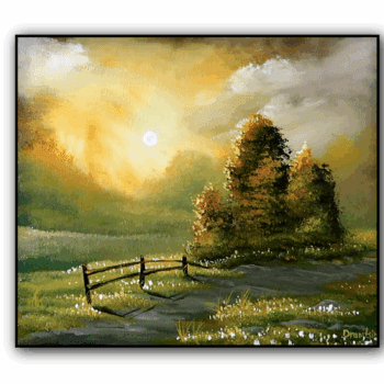 Sunshine Grassy Hill