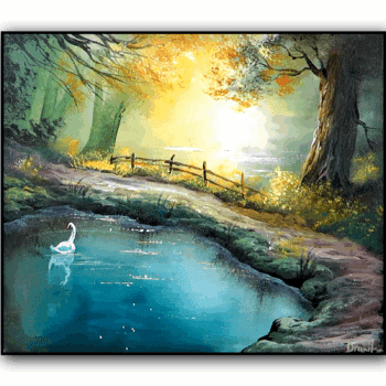 Swan Lake in Sunshine