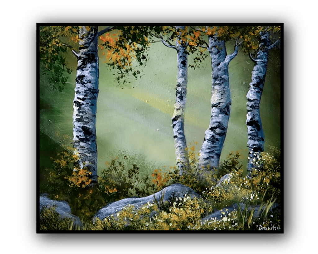 birch trees in sunlight