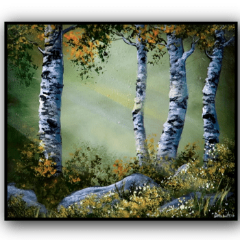 birch trees in sunlight