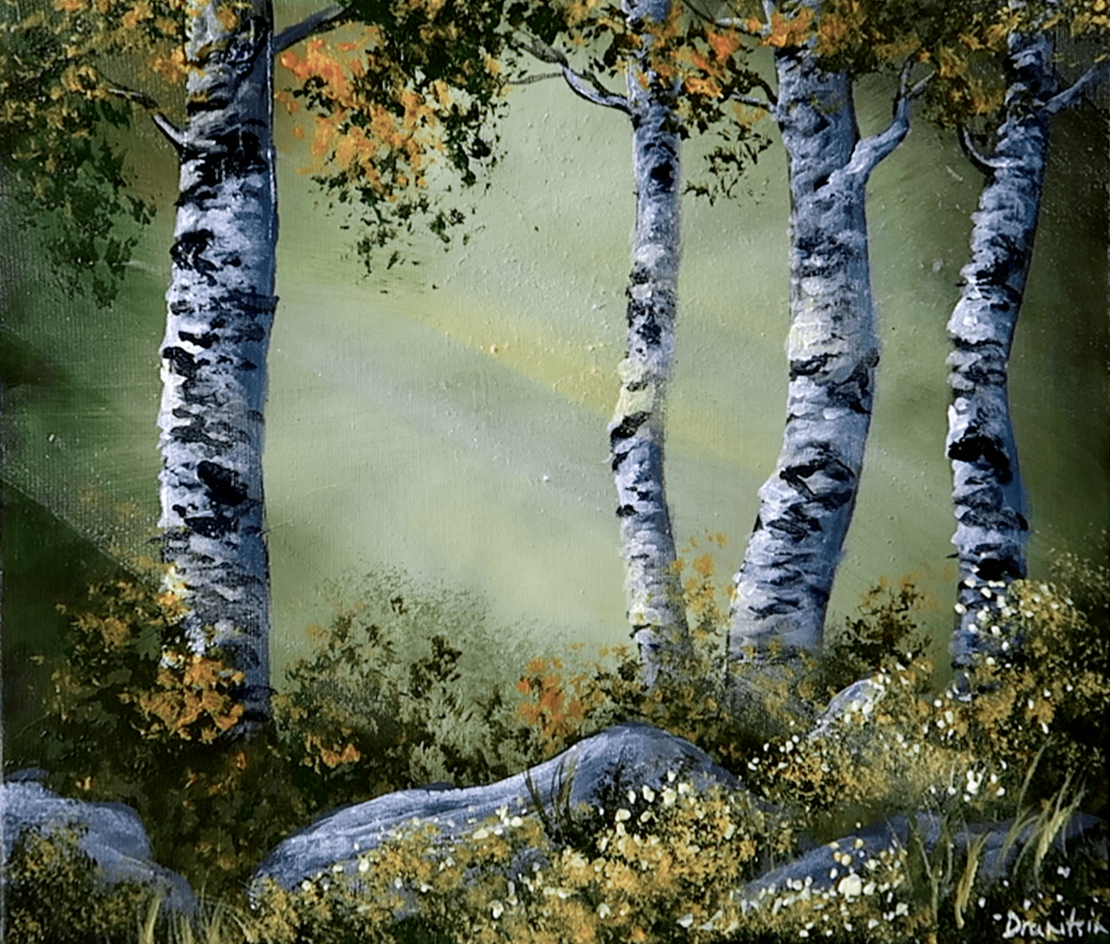 BIRCH TREES IN SUNLIGHT - Image 2