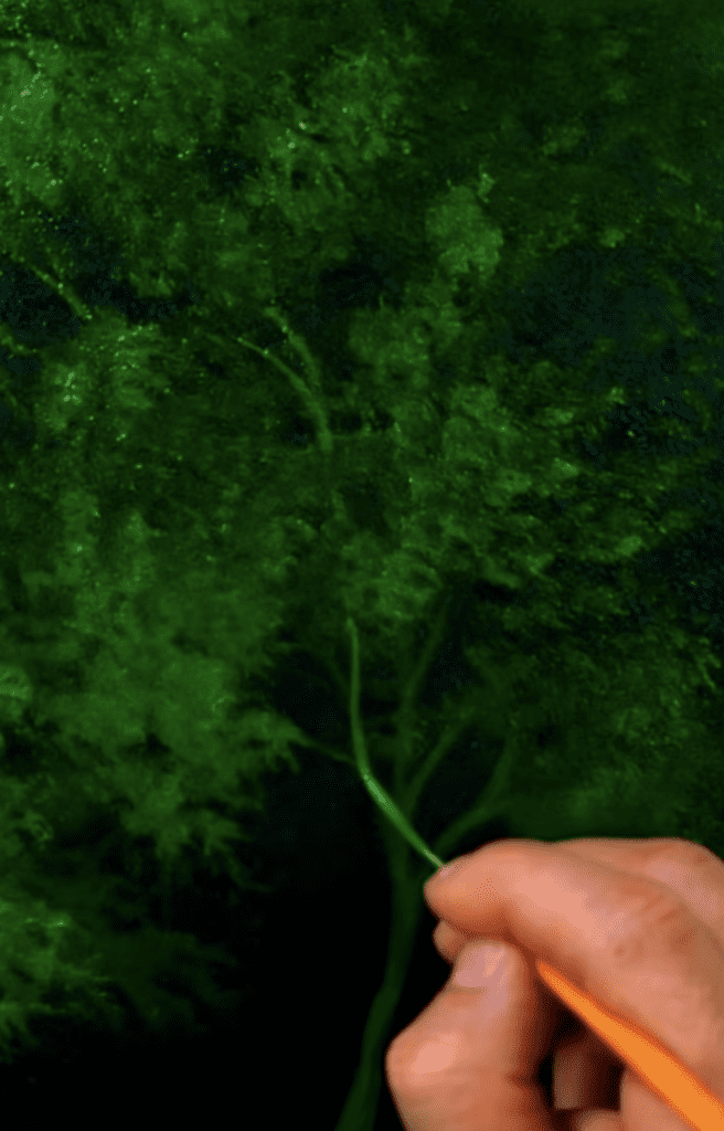 Painting Green Tree on Black Canvas | Quick & Easy Acrylic Oval Brush Art